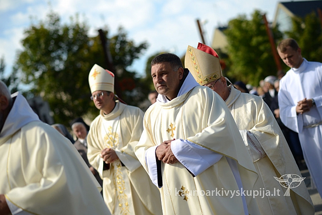 20140915 silines 3575 ms