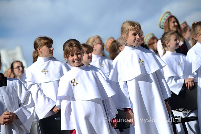 20140915 silines 3590 ms