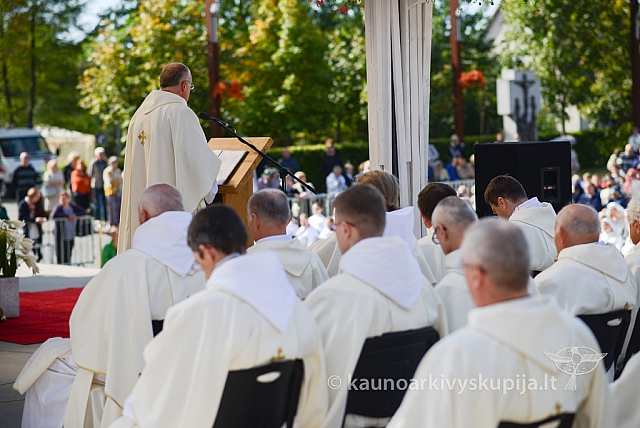 20140915 silines 3615 ms