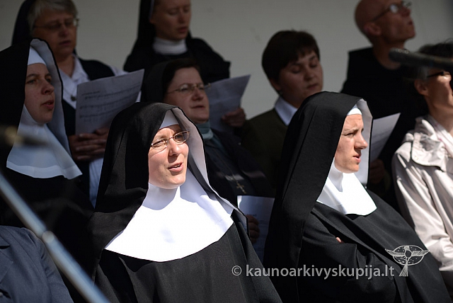 20140915 silines 3640 ms