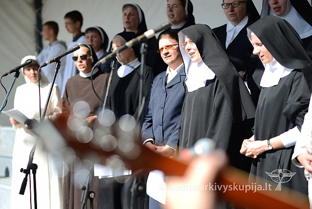 20140915 silines 3658 ms