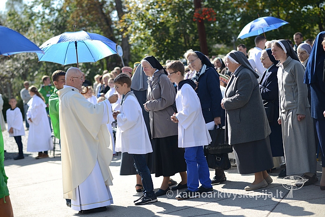 20140915 silines 3664 ms