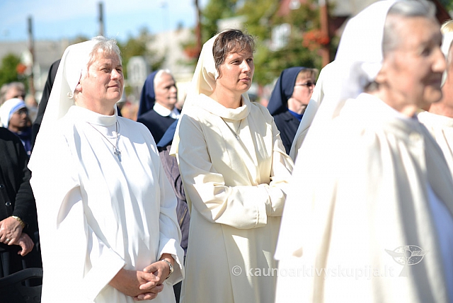 20140915 silines 3691 ms