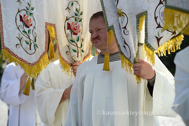 20140915 silines 3700 ms