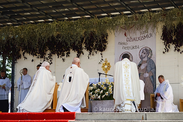 20140915 silines 3705 ms