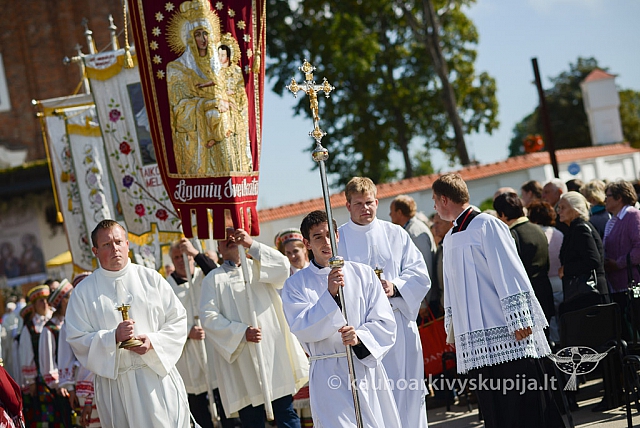 20140915 silines 3717 ms