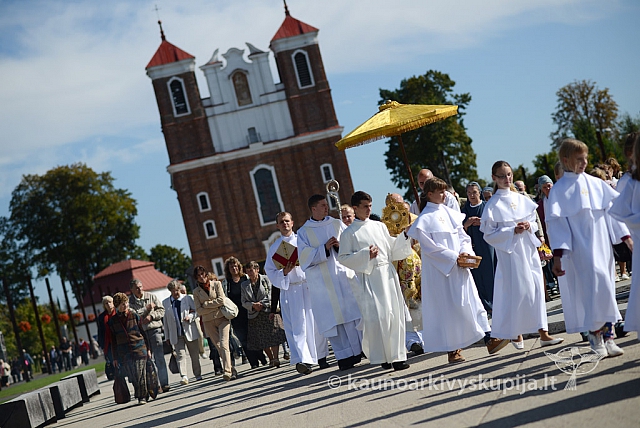 20140915 silines 3749 ms