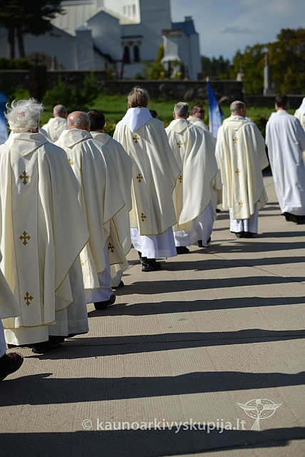 20140915 silines 3754 ms