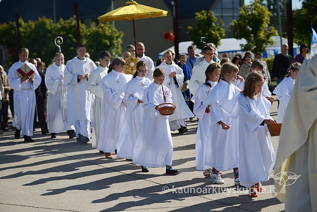 20140915 silines 3757 ms