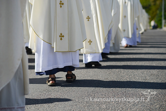 20140915 silines 3763 ms