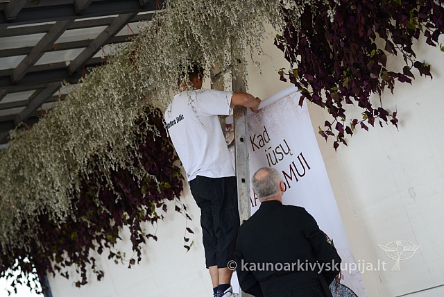 20140915 silines 3820 ms