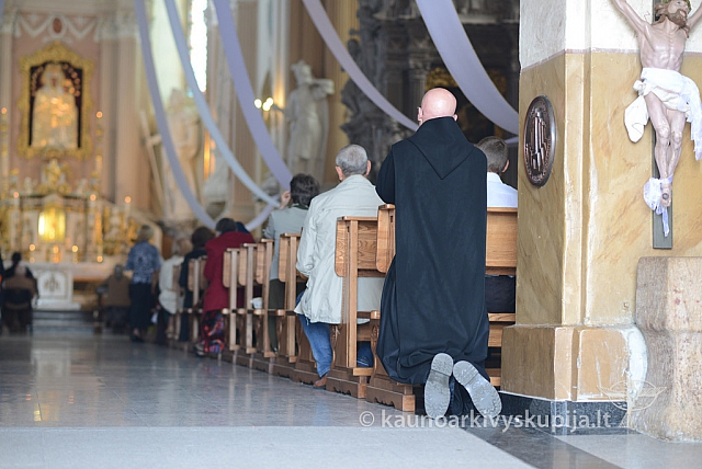 20140915 silines 3838 ms