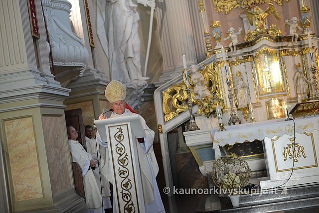 20140915 silines 3898 ms