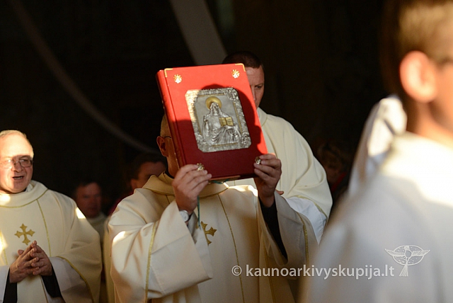 20140915 silines 3916 ms