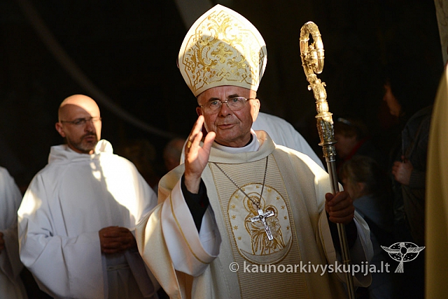 20140915 silines 3918 ms