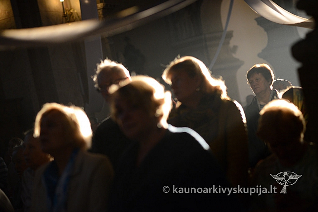 20140915 silines 3921 ms