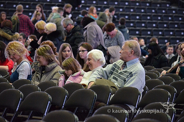 2014 valentinas-k 3491 ll