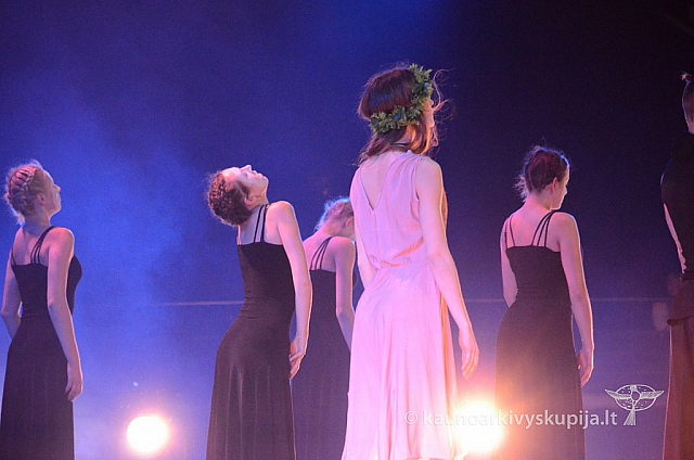 2014 valentinas-k 3629 ll