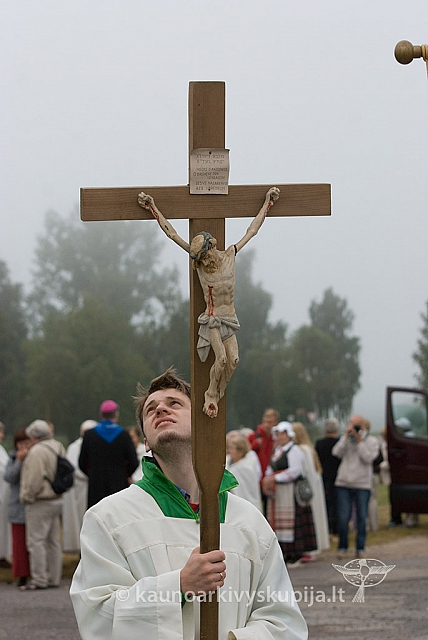 20150830 silines 0008 sk