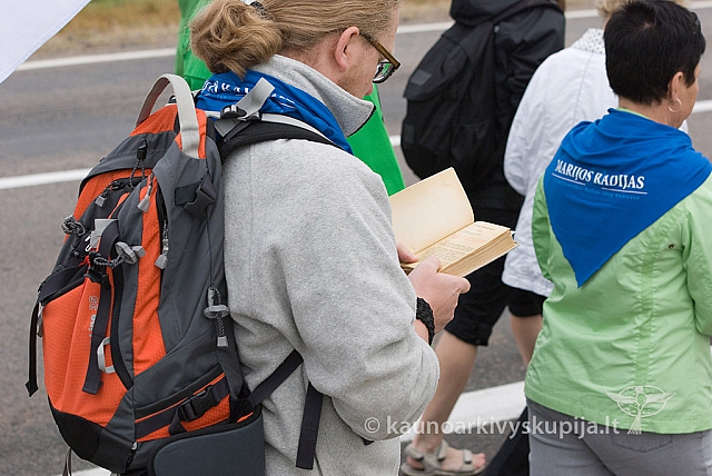 20150830 silines 0027 sk