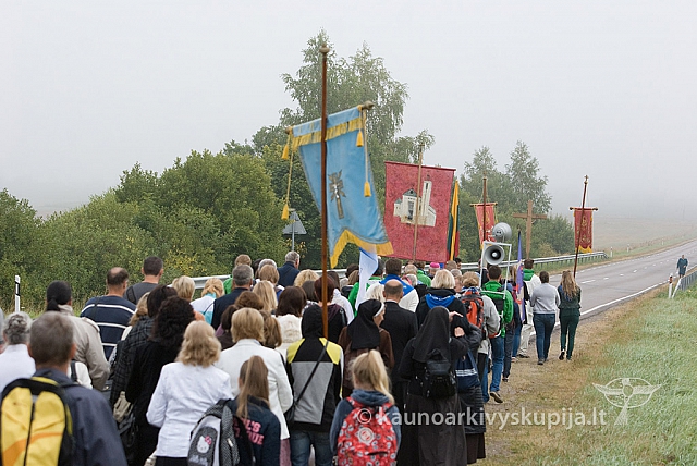 20150830 silines 0032 sk