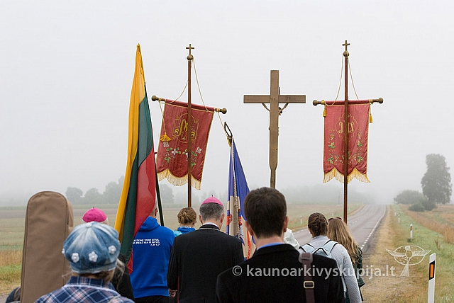 20150830 silines 0038 sk