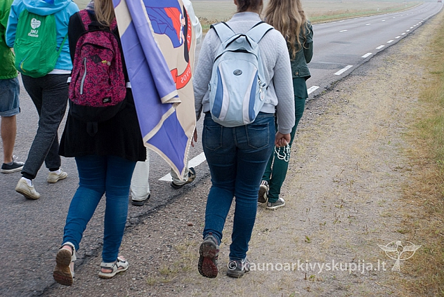 20150830 silines 0039 sk