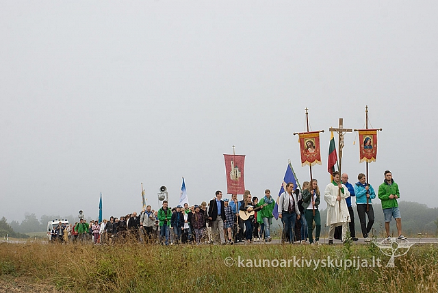 20150830 silines 0045 sk