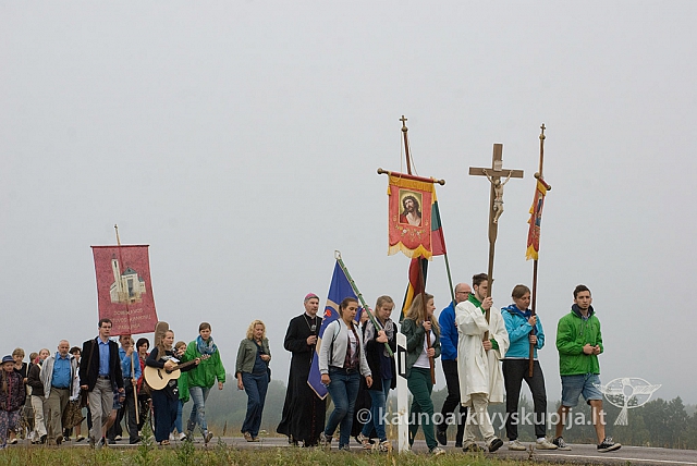 20150830 silines 0046 sk