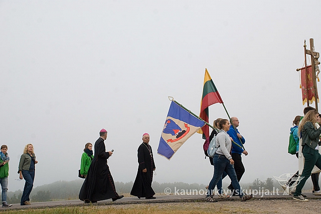 20150830 silines 0048 sk