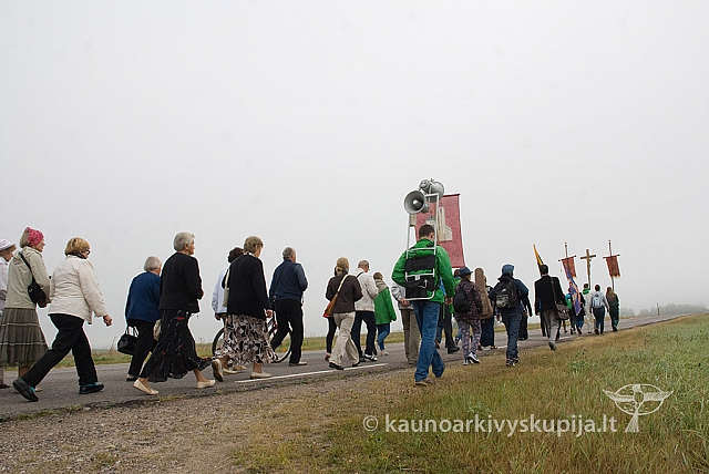 20150830 silines 0052 sk