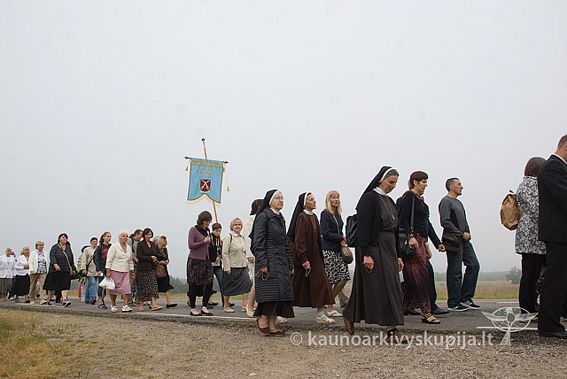 20150830 silines 0054 sk