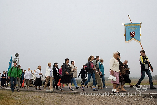 20150830 silines 0056 sk