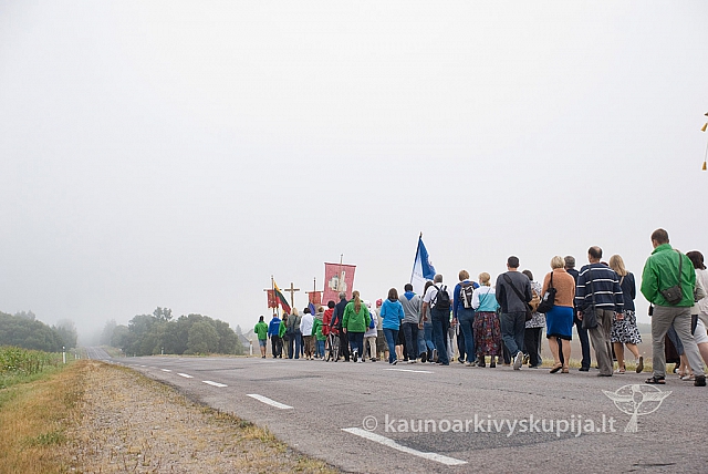 20150830 silines 0070 sk