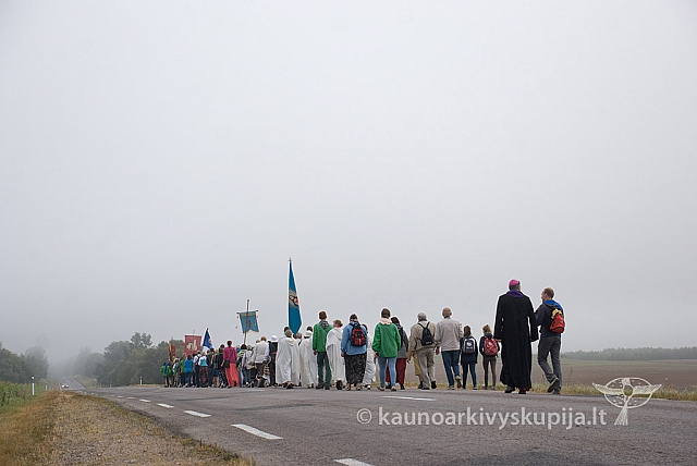 20150830 silines 0076 sk