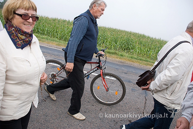 20150830 silines 0082 sk