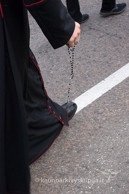 20150830 silines 0084 sk