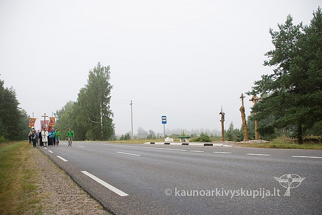 20150830 silines 0131 sk