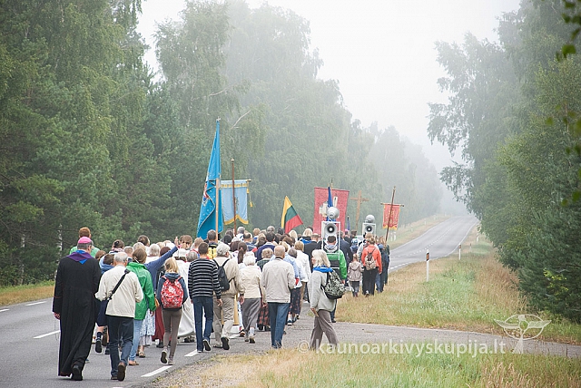 20150830 silines 0174 sk