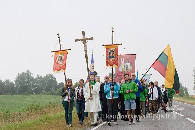 20150830 silines 0221 sk