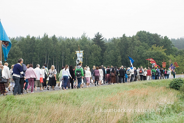 20150830 silines 0246 sk