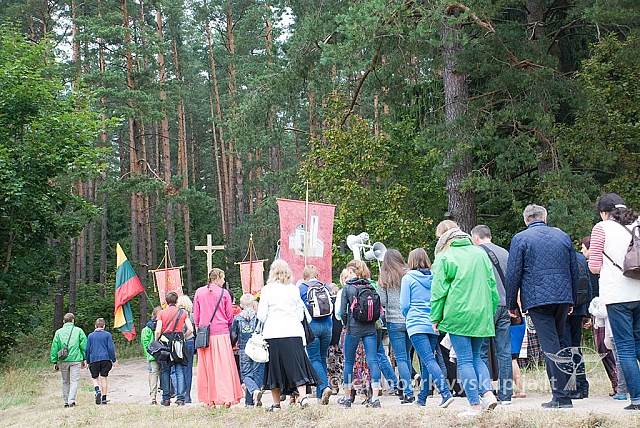 20150830 silines 0265 sk