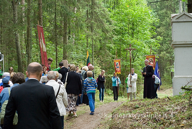 20150830 silines 0271 sk