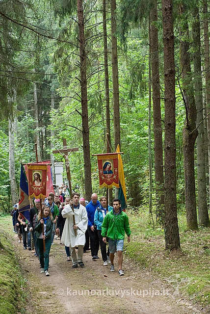 20150830 silines 0275 sk