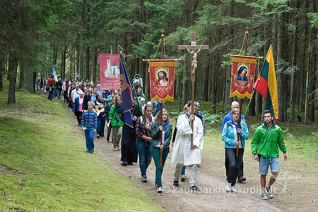 20150830 silines 0280 sk