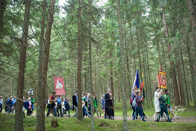 20150830 silines 0284 sk