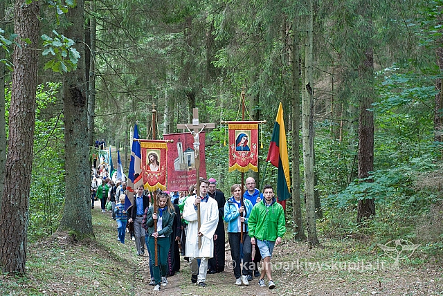 20150830 silines 0296 sk