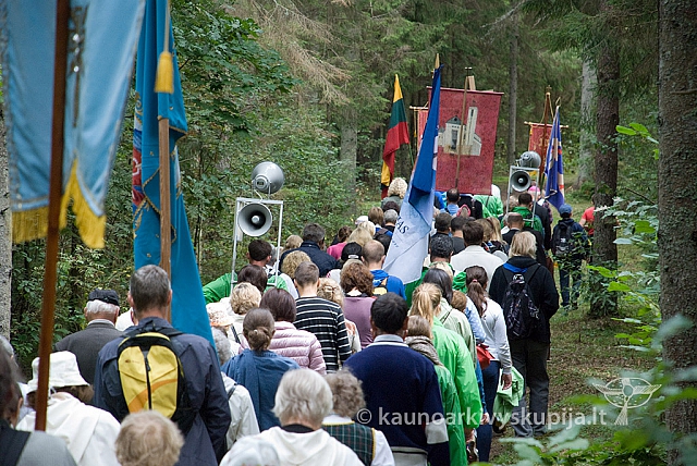 20150830 silines 0303 sk