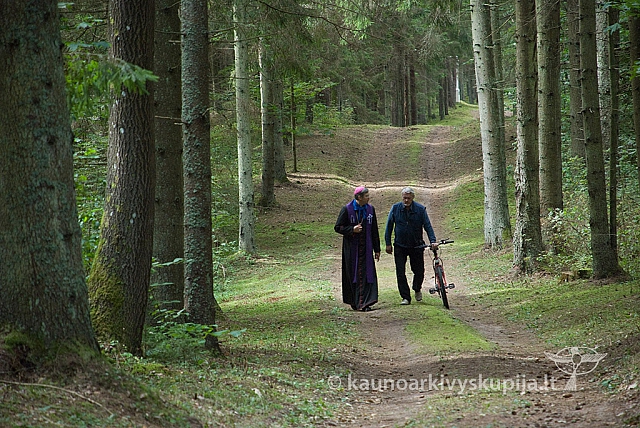 20150830 silines 0305 sk