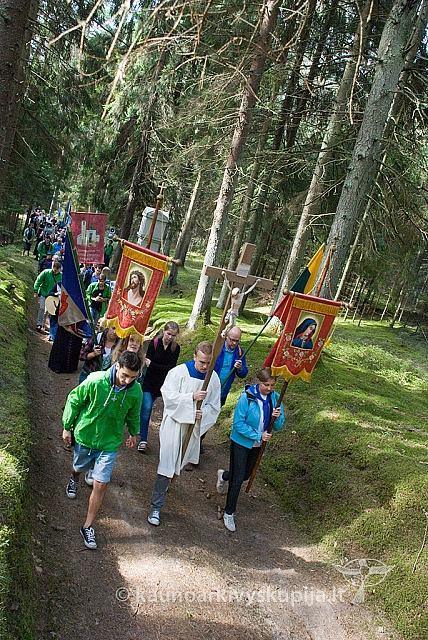 20150830 silines 0331 sk